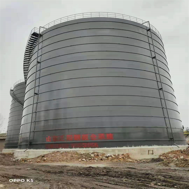 靖宇3万吨大型钢板库