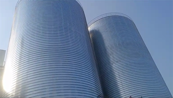 靖宇2座混凝土高架卷板仓